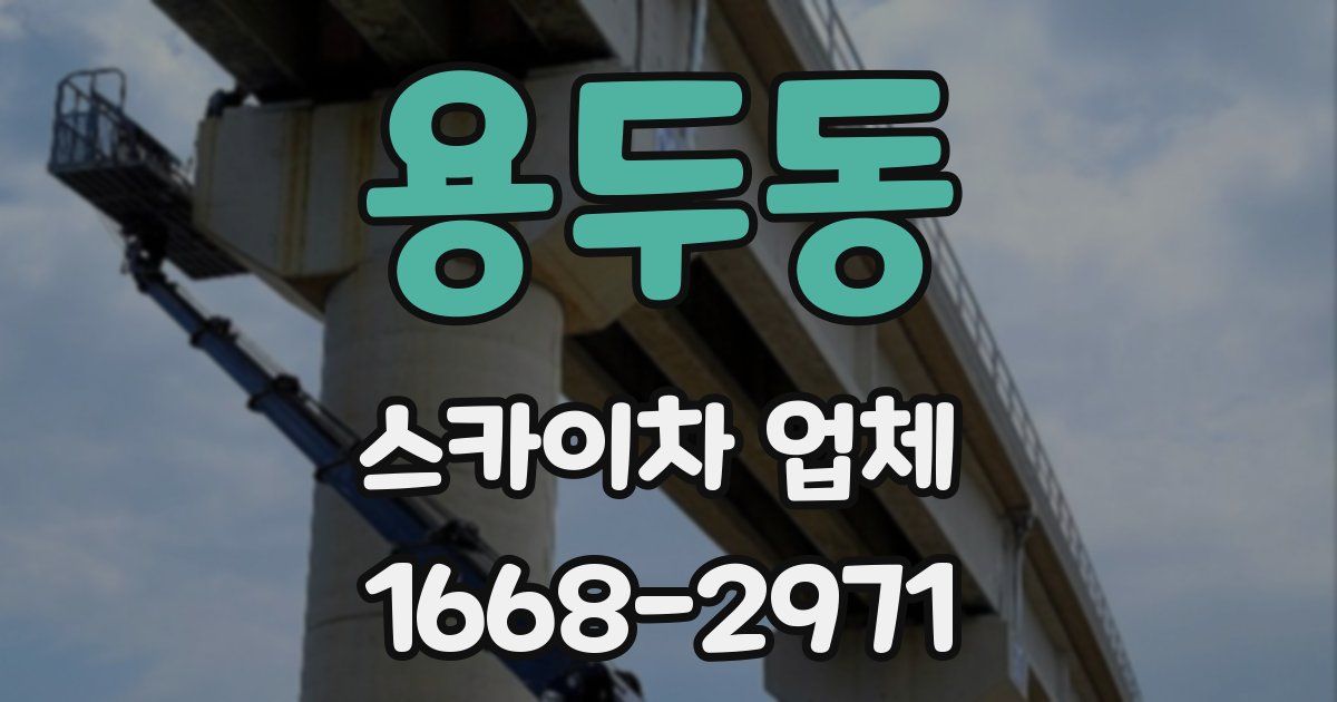 용두동 스카이차 업체