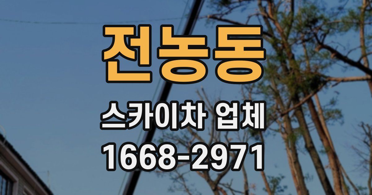 전농동 스카이차 업체