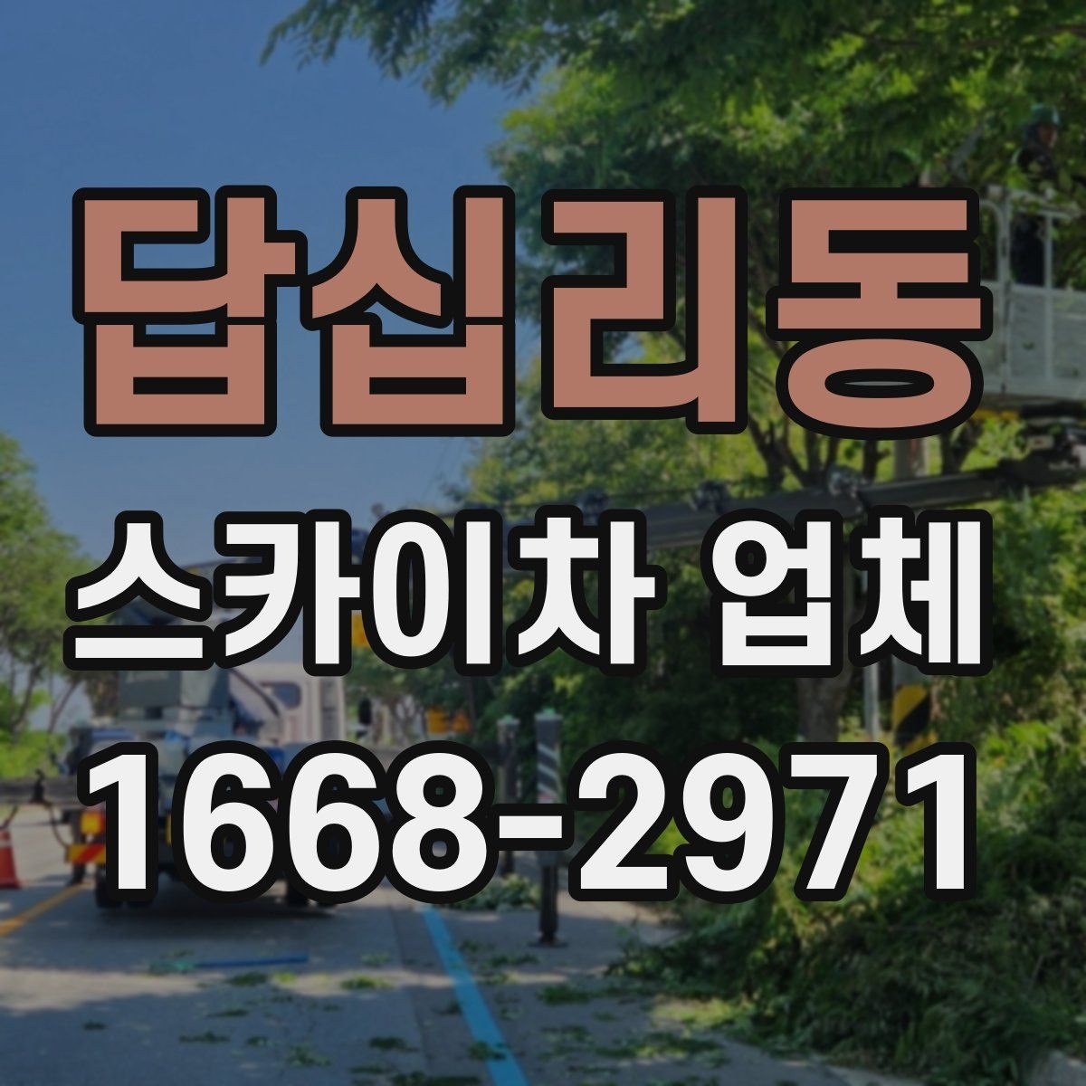 답십리동 스카이차 업체 작업 전 현장 점검이 필요한 이유