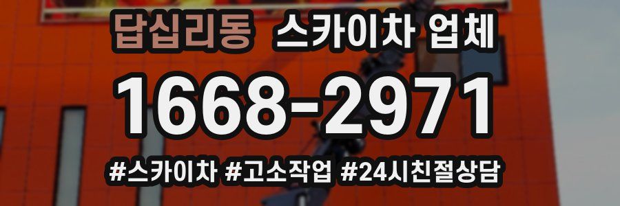 답십리동 스카이차 업체