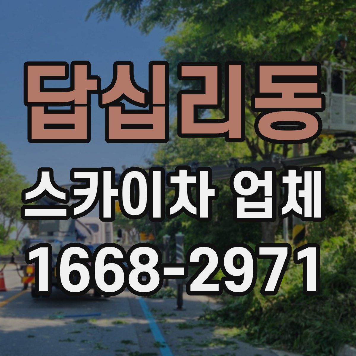 답십리동 스카이차 업체