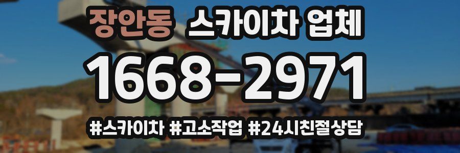 장안동 스카이차 업체