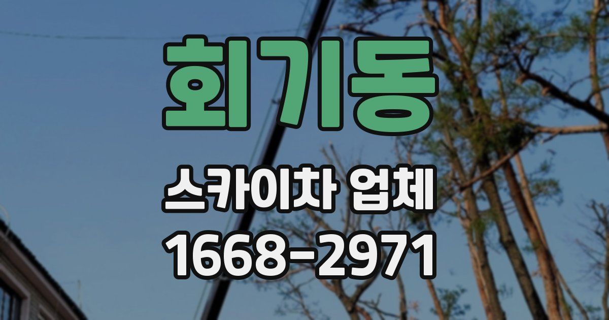 회기동 스카이차 업체
