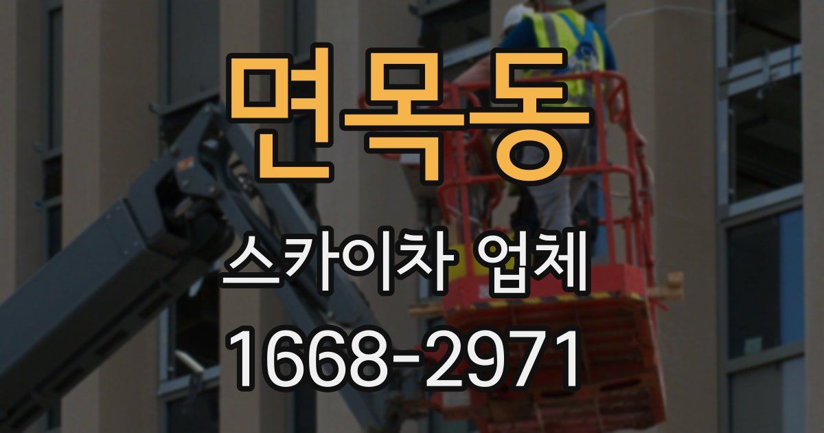 면목동 스카이차 업체