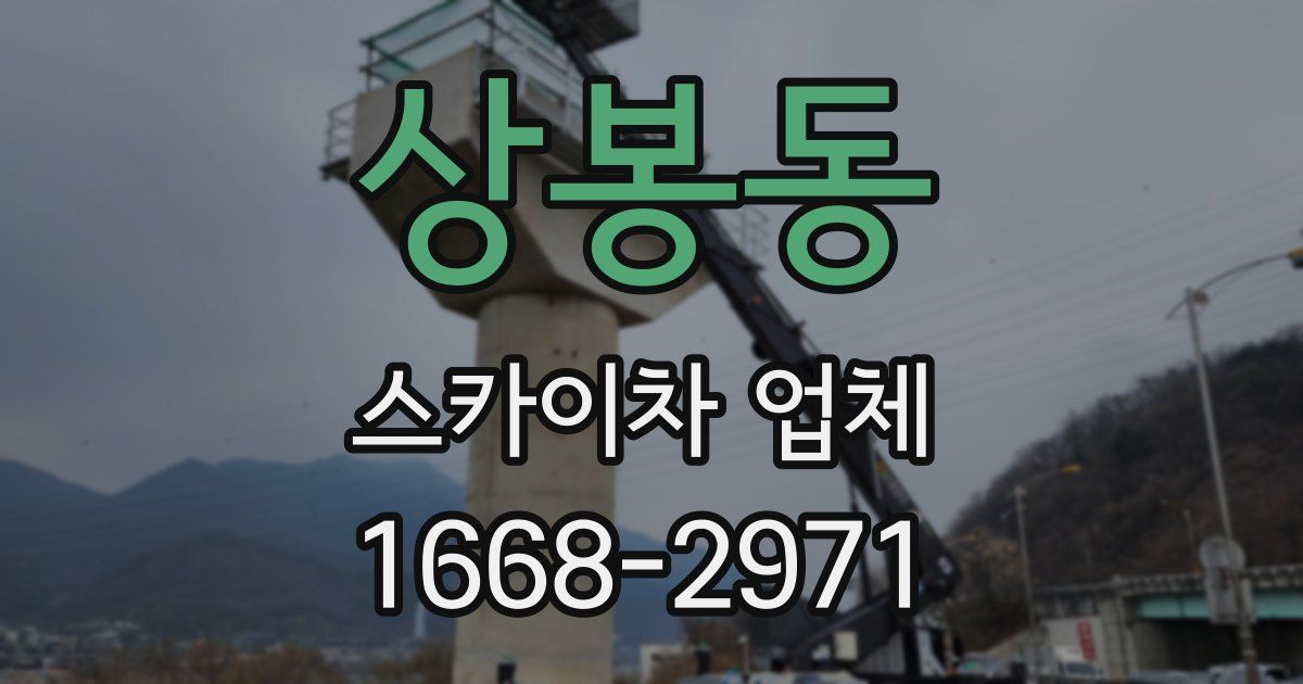 상봉동 스카이차 업체