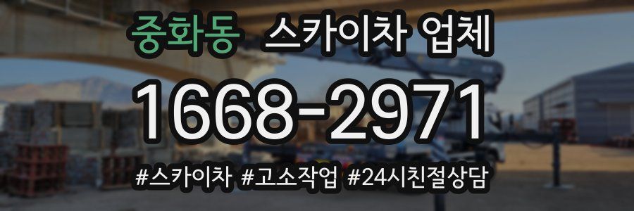 중화동 스카이차 업체