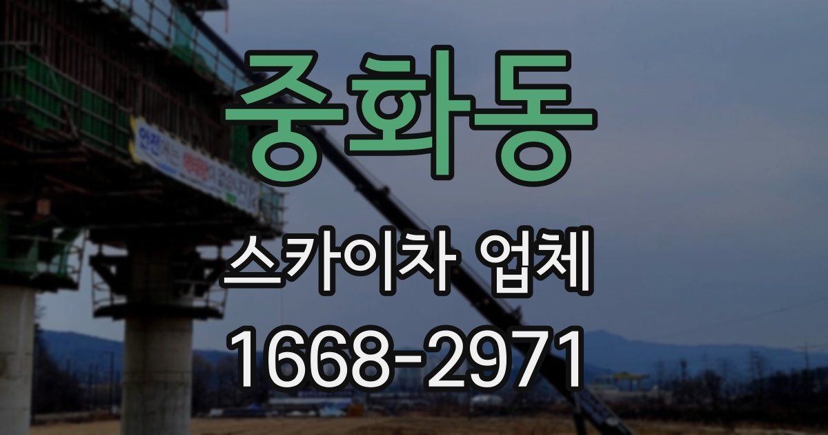 중화동 스카이차 업체