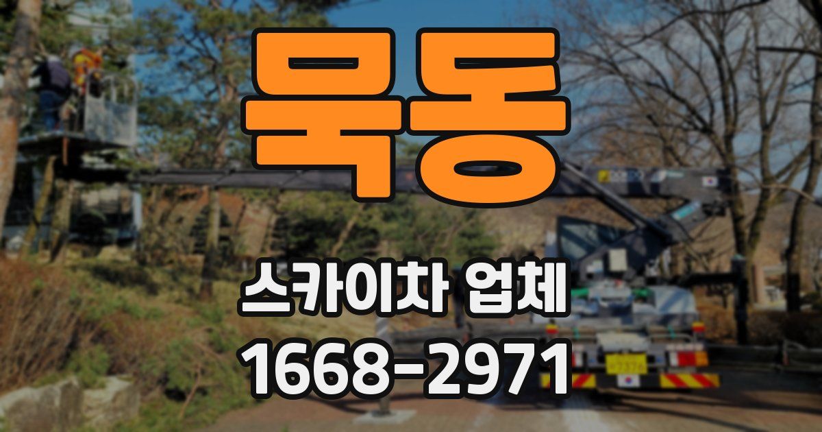 묵동 스카이차 업체