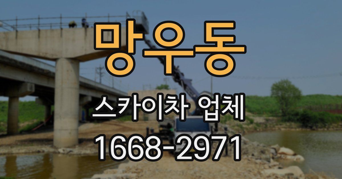 망우동 스카이차 업체