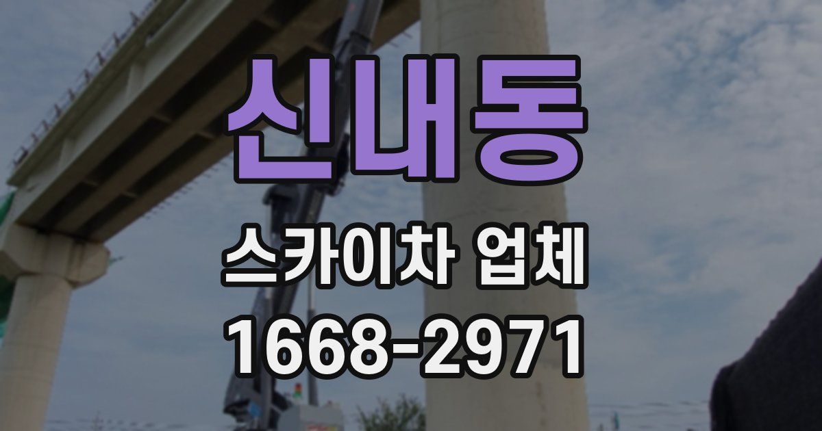 신내동 스카이차 업체
