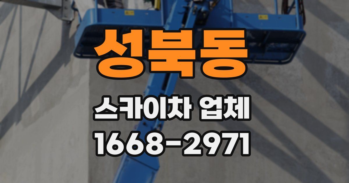 성북동 스카이차 업체