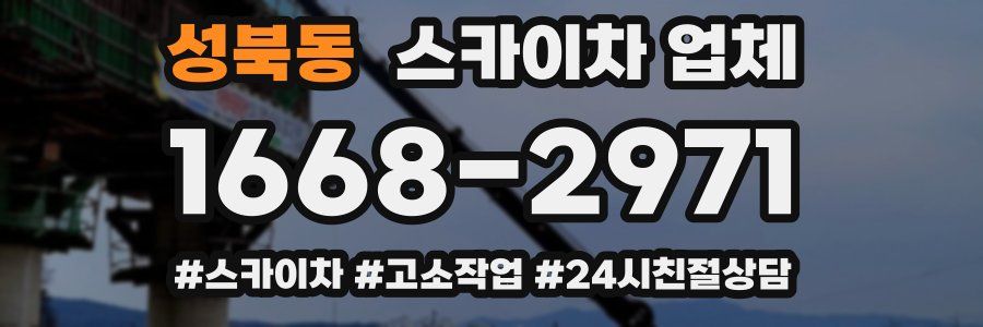 성북동 스카이차 업체
