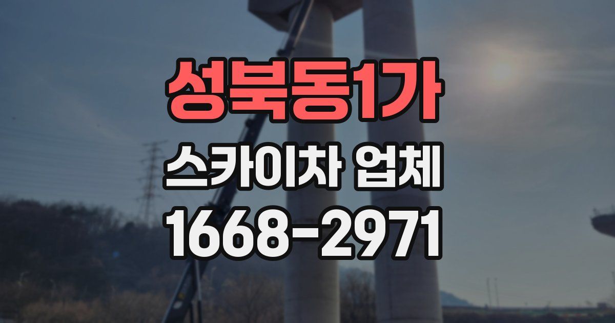 성북동1가 스카이차 업체