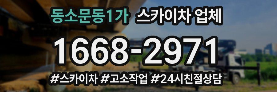 동소문동1가 스카이차 업체