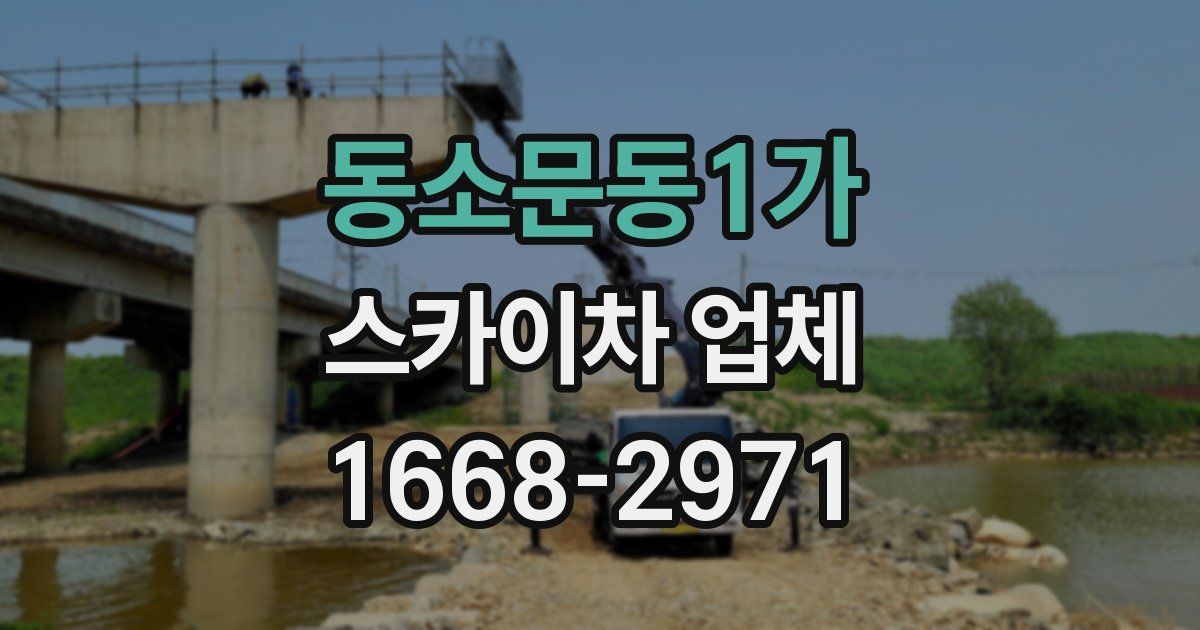 동소문동1가 스카이차 업체