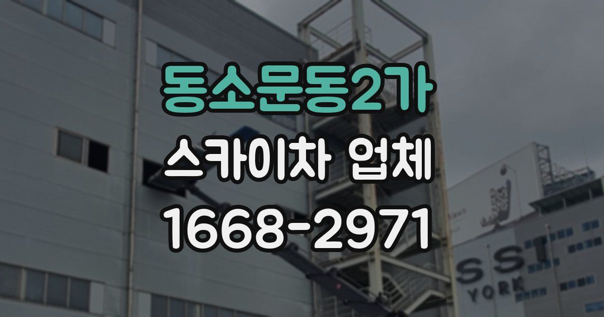 동소문동2가 스카이차 업체