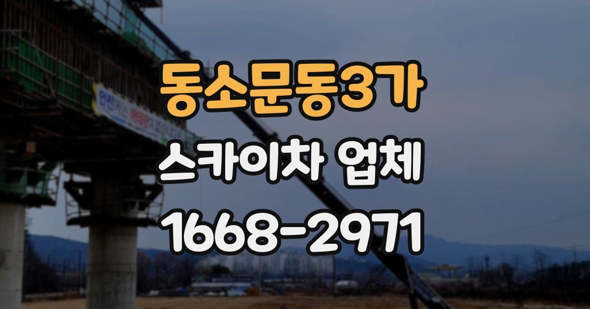 동소문동3가 스카이차 업체