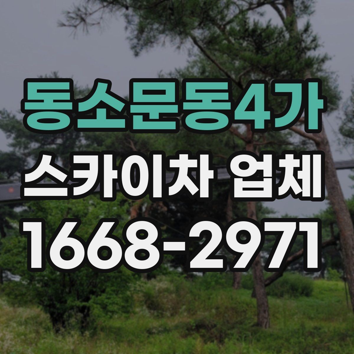 동소문동4가 스카이차 업체 상담 전에 현장 정보 정리하기