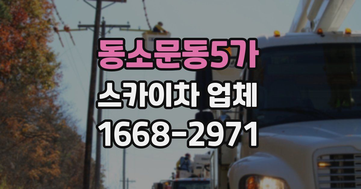 동소문동5가 스카이차 업체