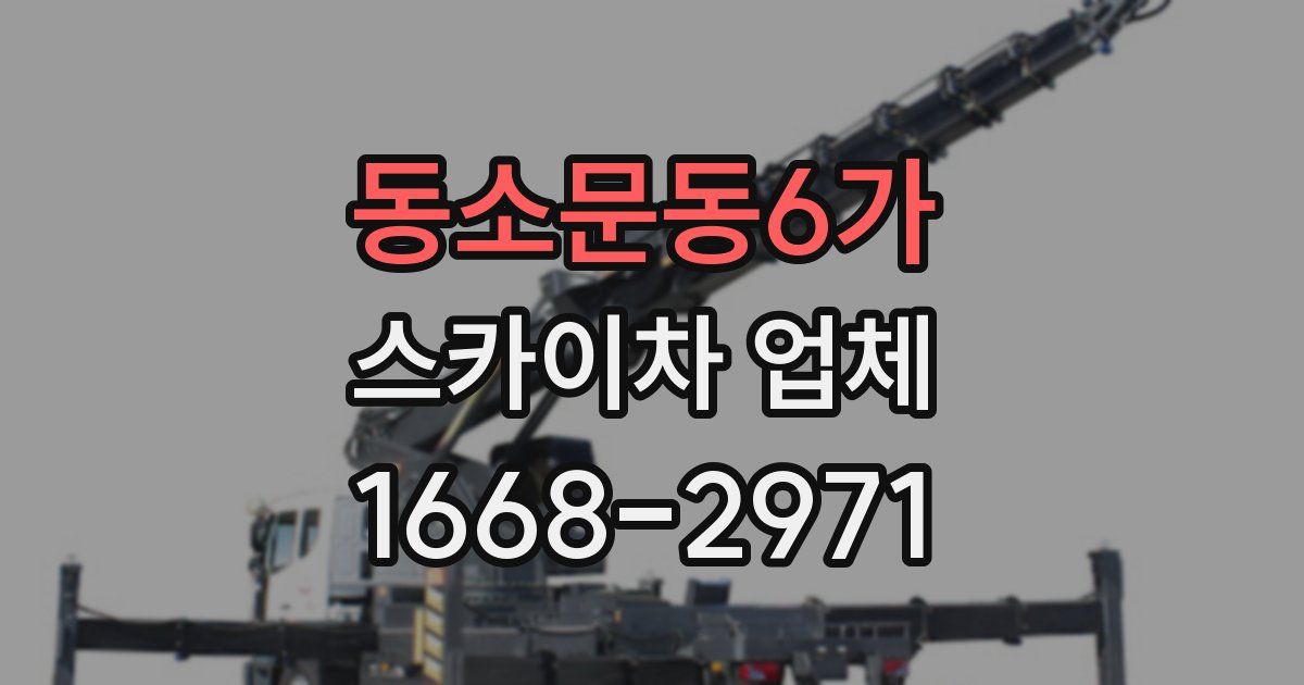 동소문동6가 스카이차 업체
