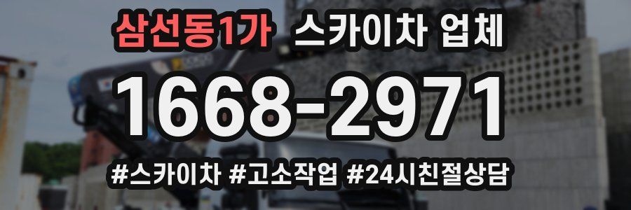 삼선동1가 스카이차 업체