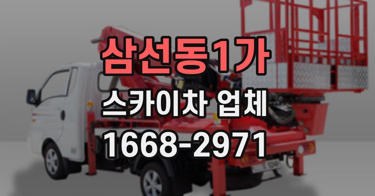 삼선동1가 스카이차 업체