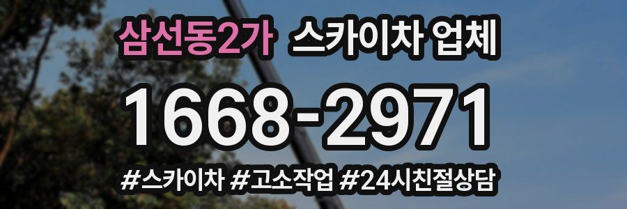 삼선동2가 스카이차 업체