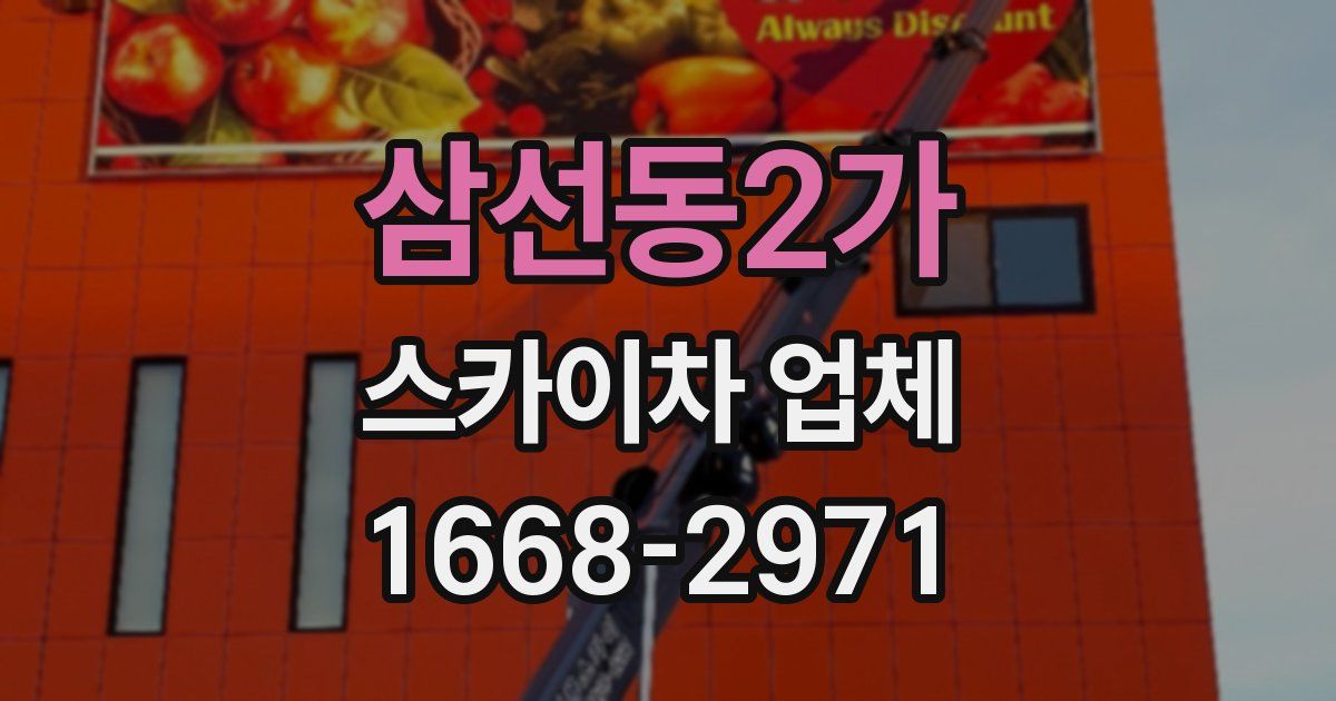 삼선동2가 스카이차 업체