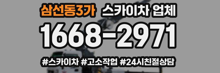 삼선동3가 스카이차 업체