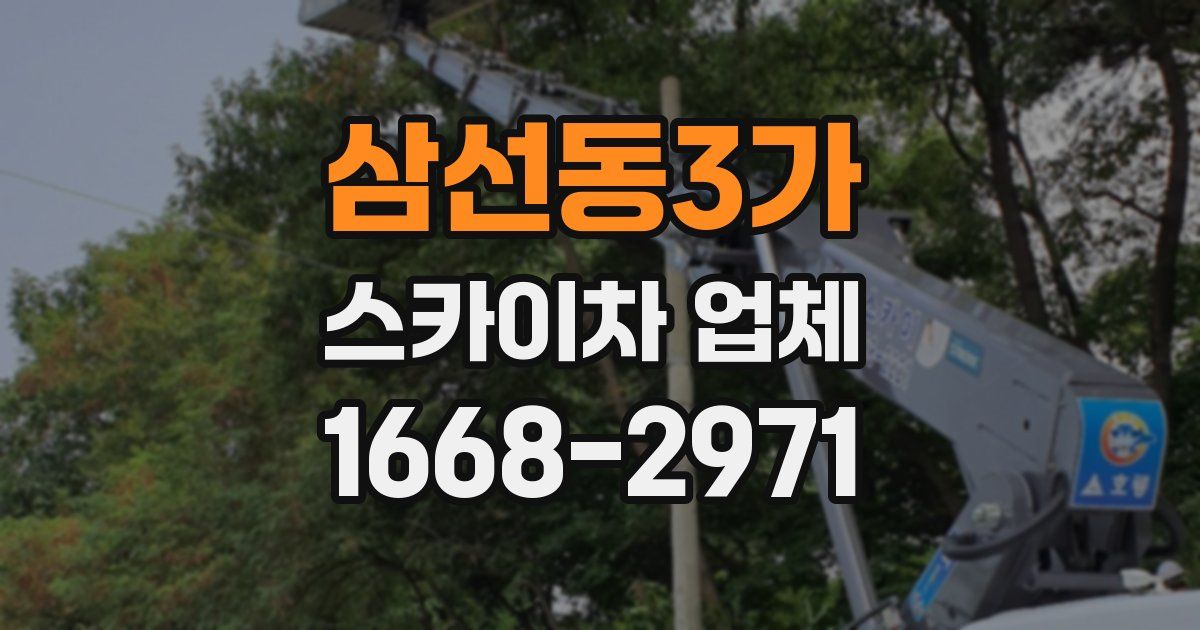 삼선동3가 스카이차 업체