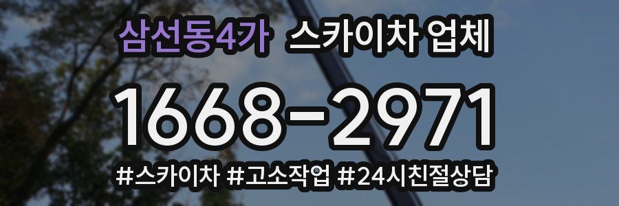 삼선동4가 스카이차 업체