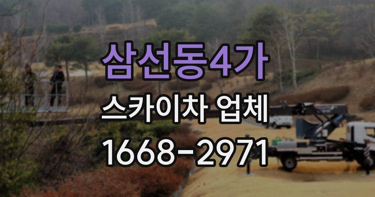 삼선동4가 스카이차 업체