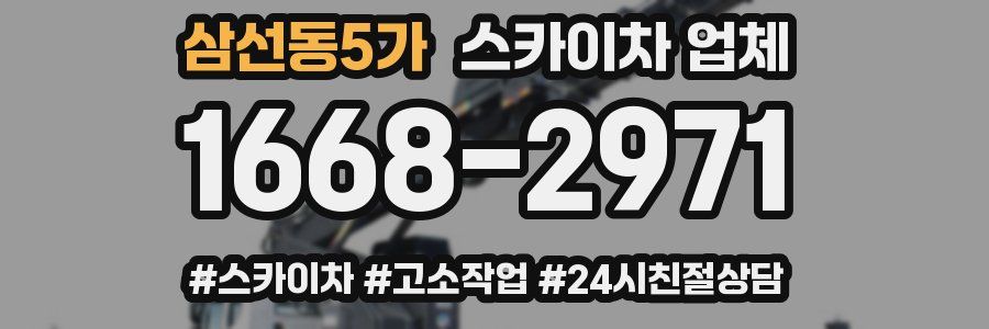 삼선동5가 스카이차 업체