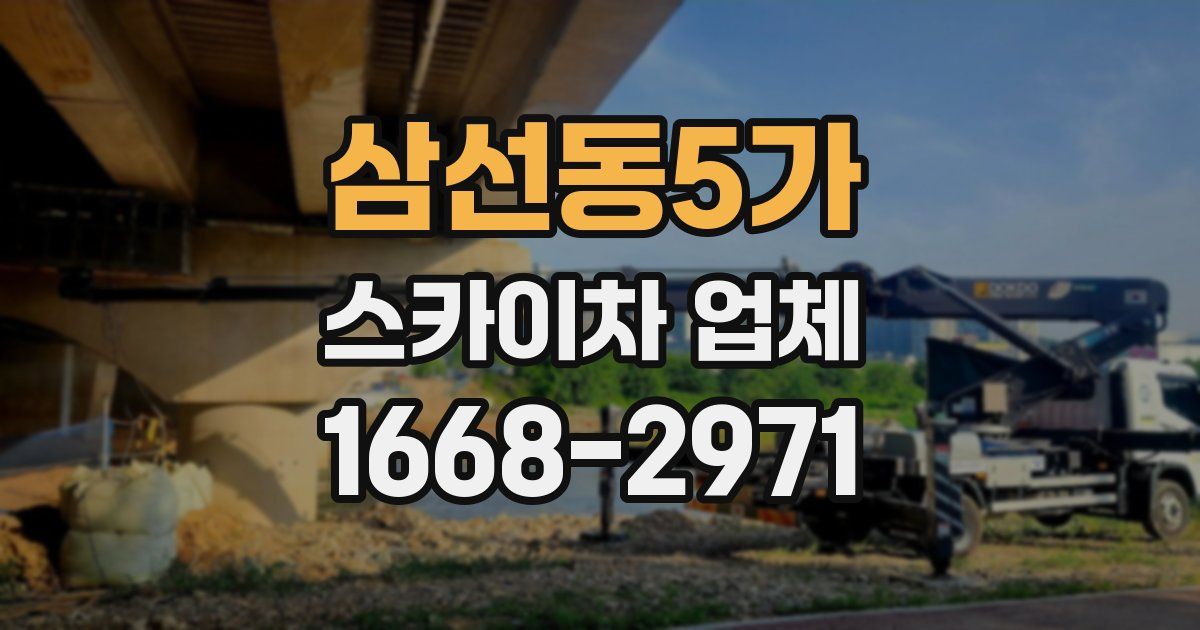 삼선동5가 스카이차 업체