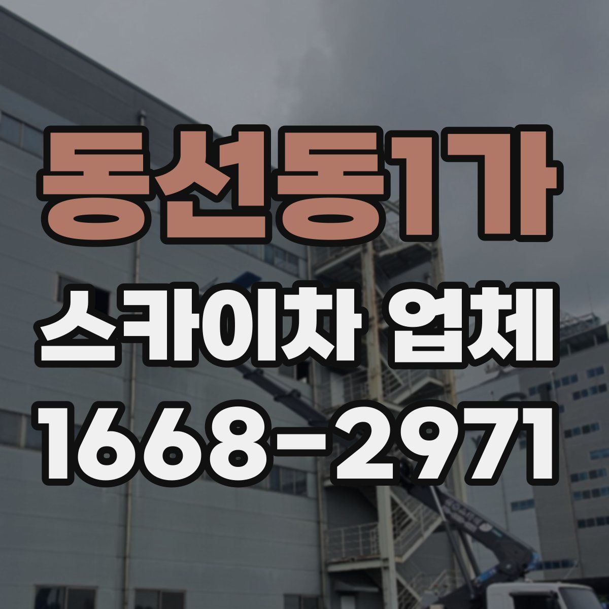 동선동1가 스카이차 업체