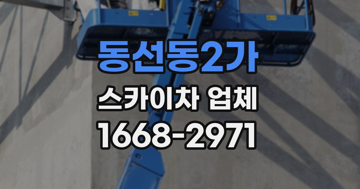 동선동2가 스카이차 업체