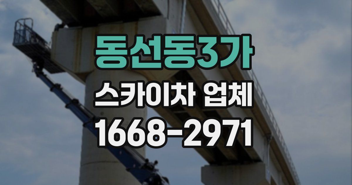 동선동3가 스카이차 업체