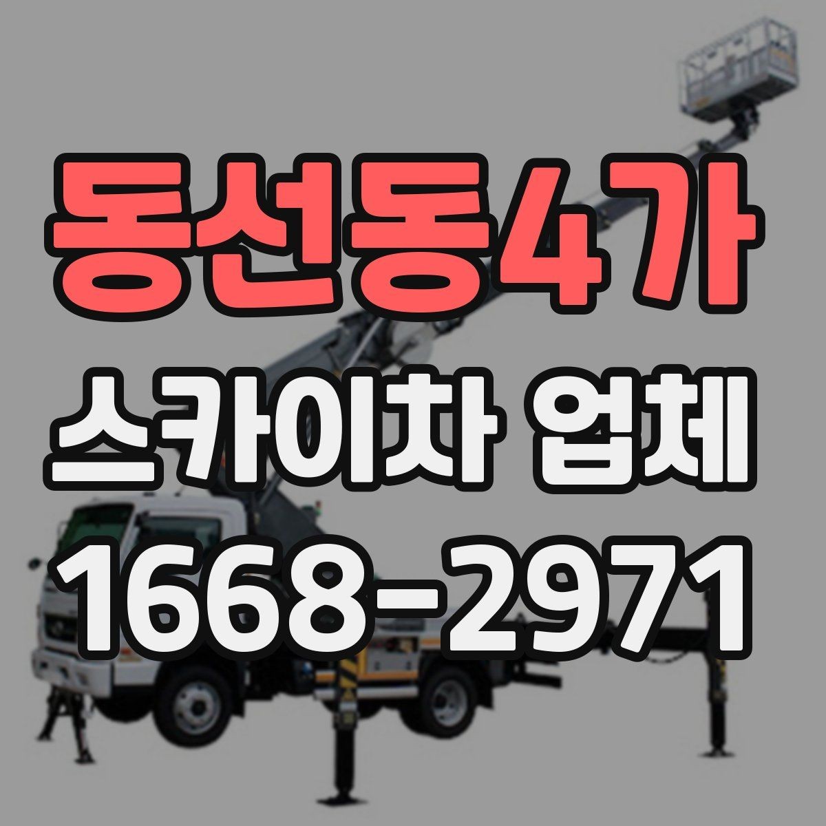 동선동4가 스카이차 업체 이용 전 배차 가능 여부 확인하기
