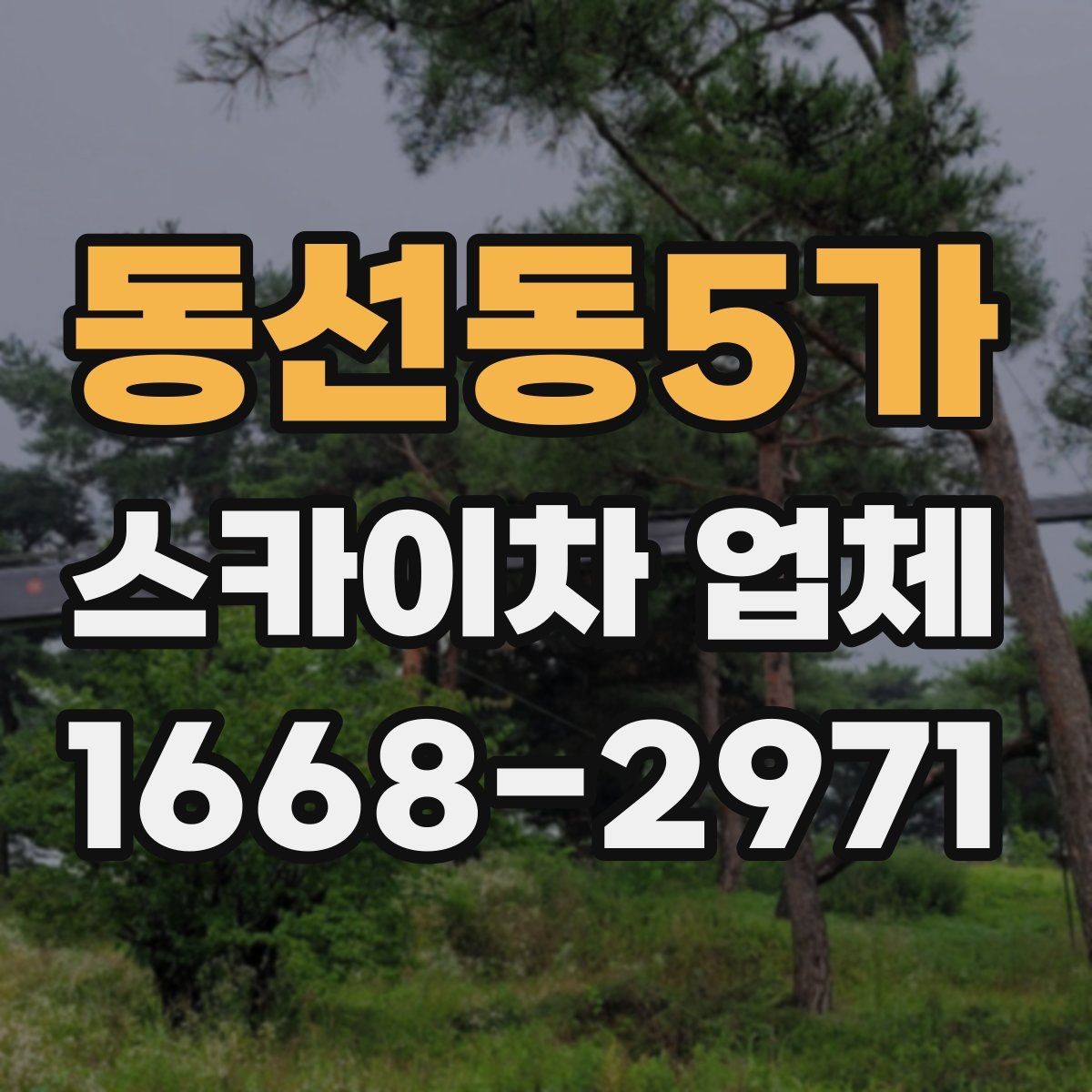 동선동5가 스카이차 업체 이용 시 시간 조율이 중요한 이유