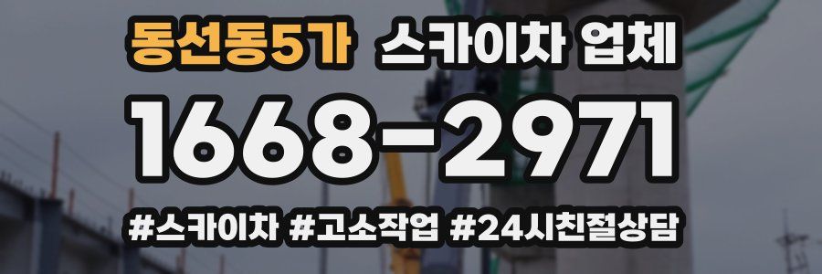동선동5가 스카이차 업체