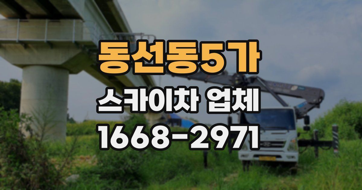 동선동5가 스카이차 업체