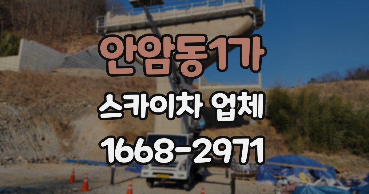 안암동1가 스카이차 업체