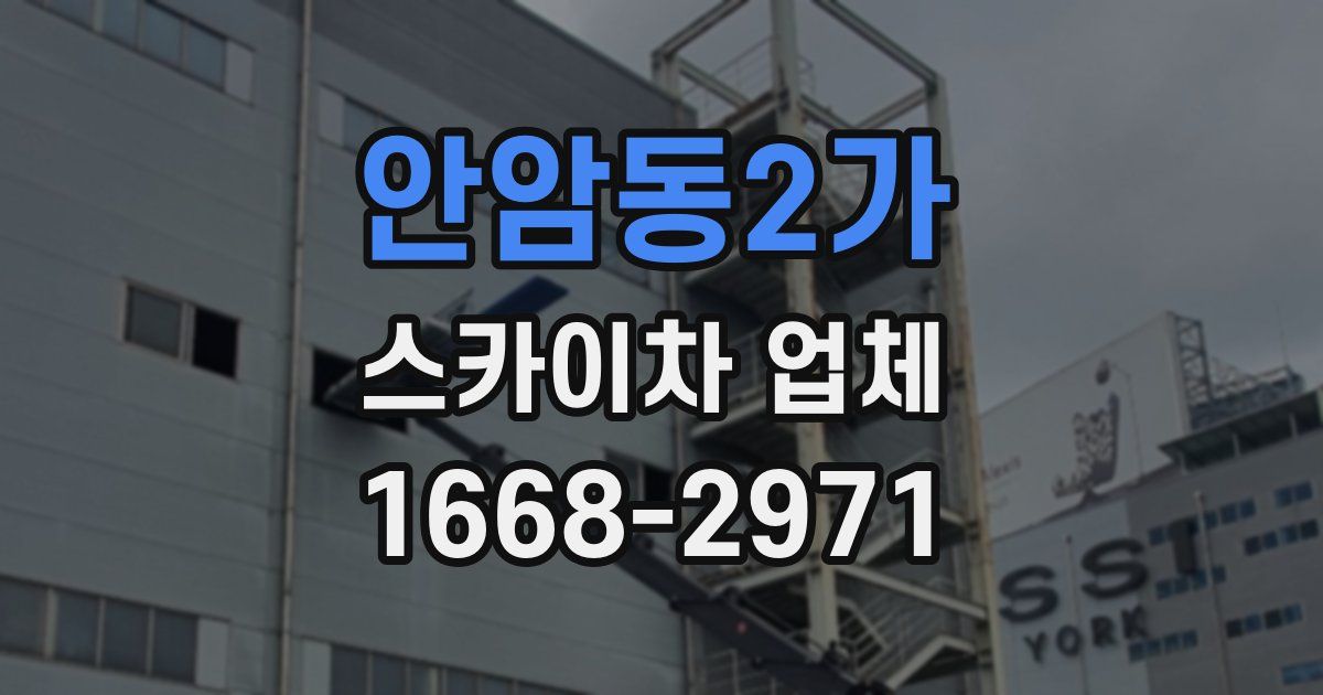 안암동2가 스카이차 업체