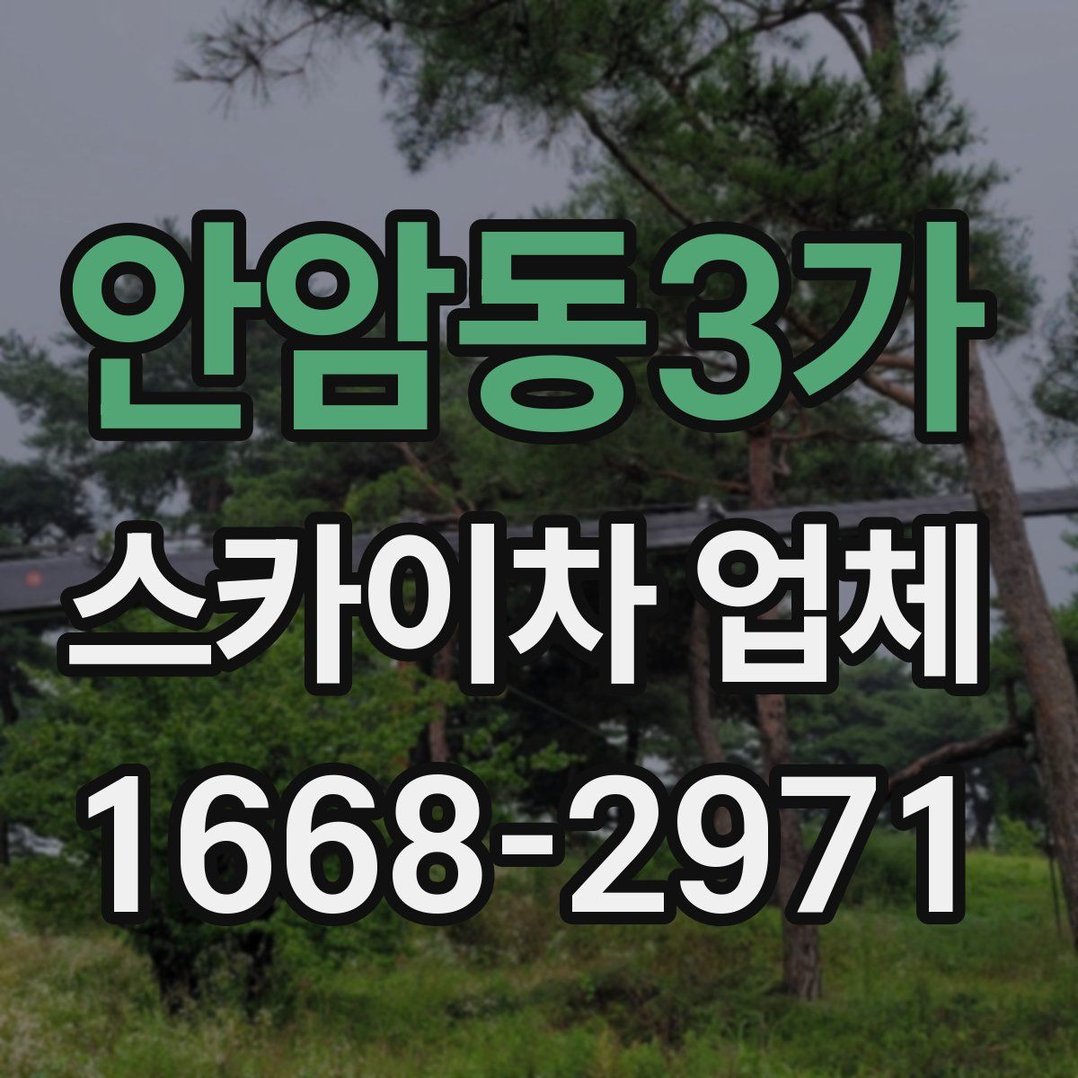 안암동3가 스카이차 업체
