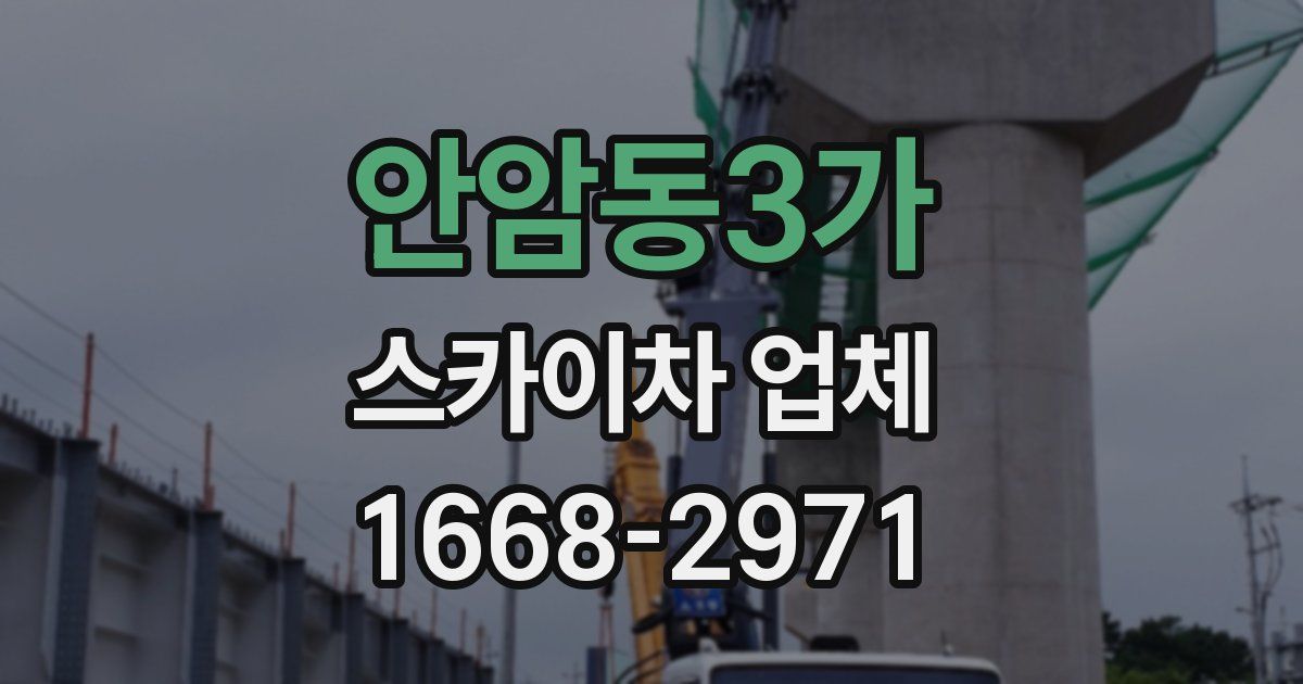 안암동3가 스카이차 업체