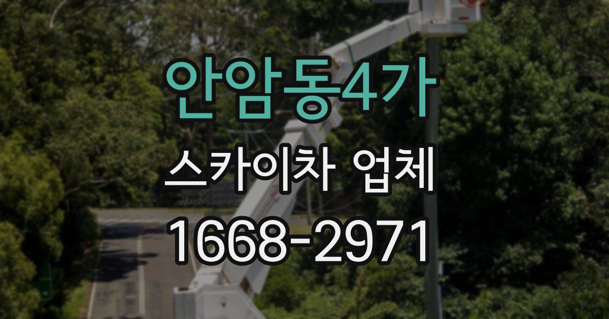 안암동4가 스카이차 업체