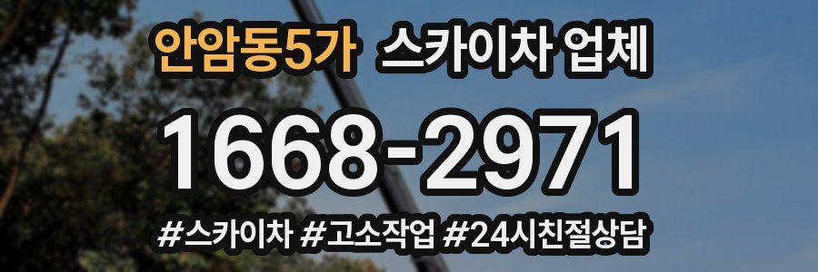 안암동5가 스카이차 업체