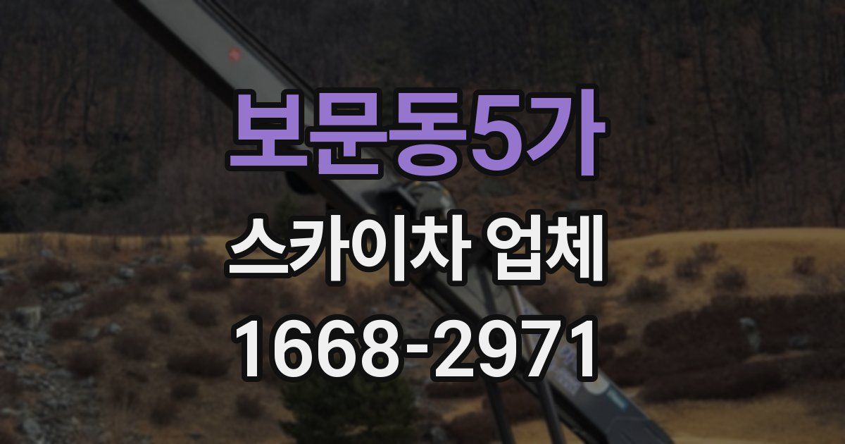 보문동5가 스카이차 업체