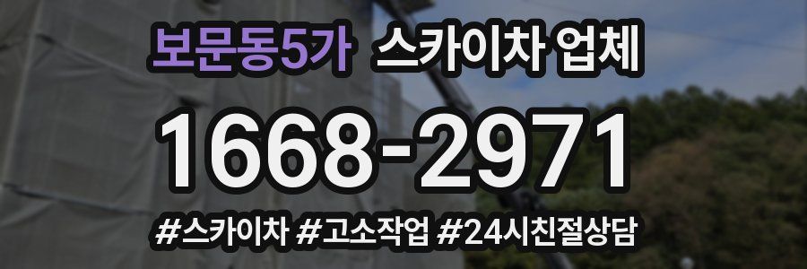 보문동5가 스카이차 업체
