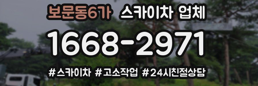 보문동6가 스카이차 업체